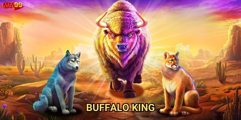Buffalo King tại MM99 có đáng để đầu tư thời gian không?