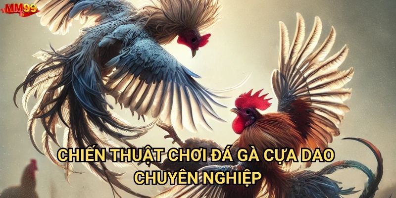 Tại sao Đá gà cựa dao tại MM99 lại được ưa chuộng? 3 Chiến thuật chơi đá gà cựa dao chuyên nghiệp