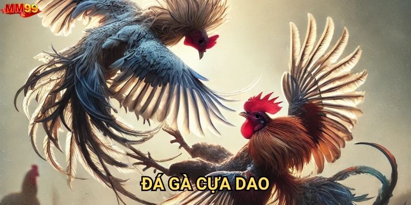 Tại sao Đá gà cựa dao tại MM99 lại được ưa chuộng?