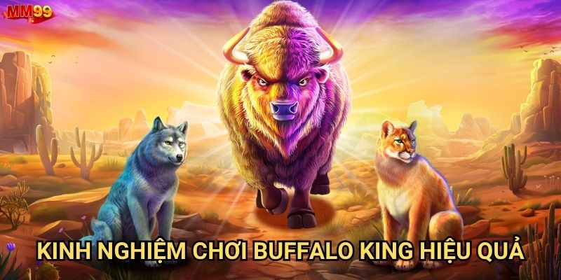 Buffalo King tại MM99 có đáng để đầu tư thời gian không? 3 Kinh nghiệm chơi Buffalo King hiệu quả